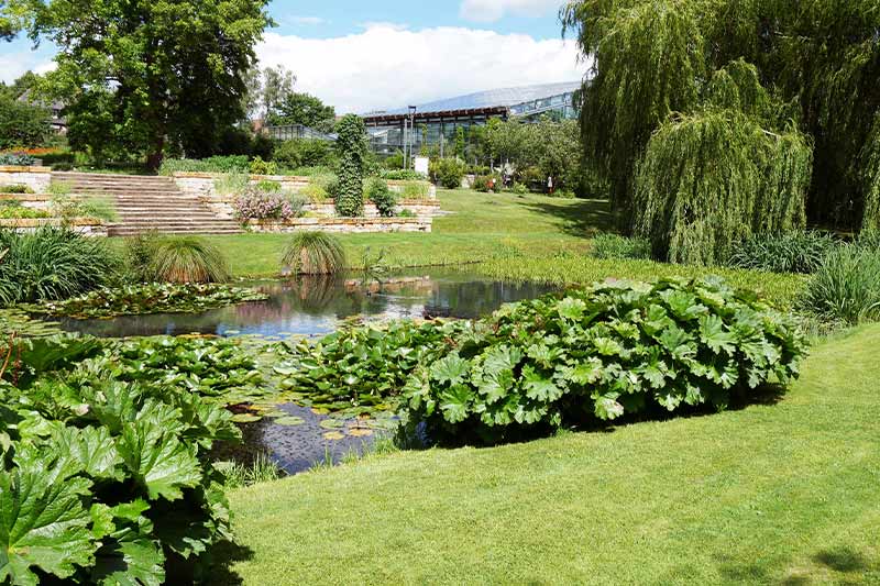 Botanischer-Garten-Rostock