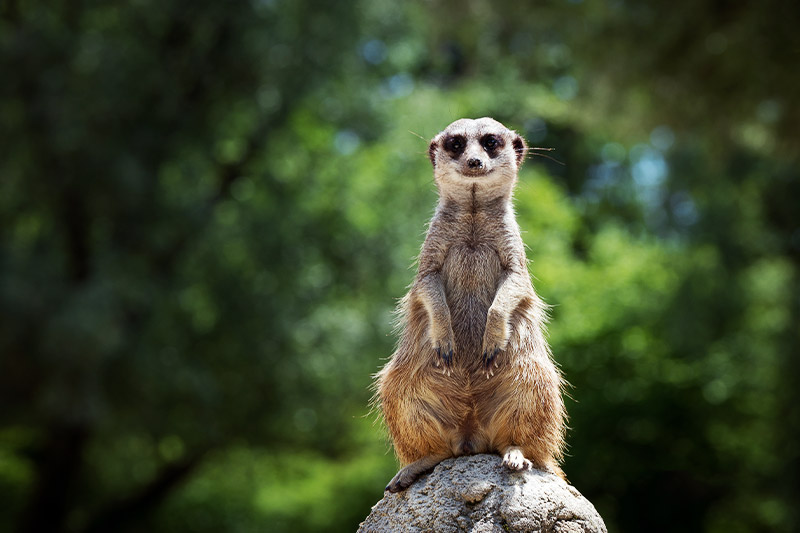 Tierpark-Hellabrunn